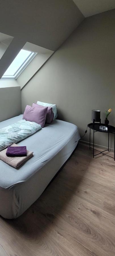 Single Elegant Room I Sentrum- Sea View 올레순 객실 사진
